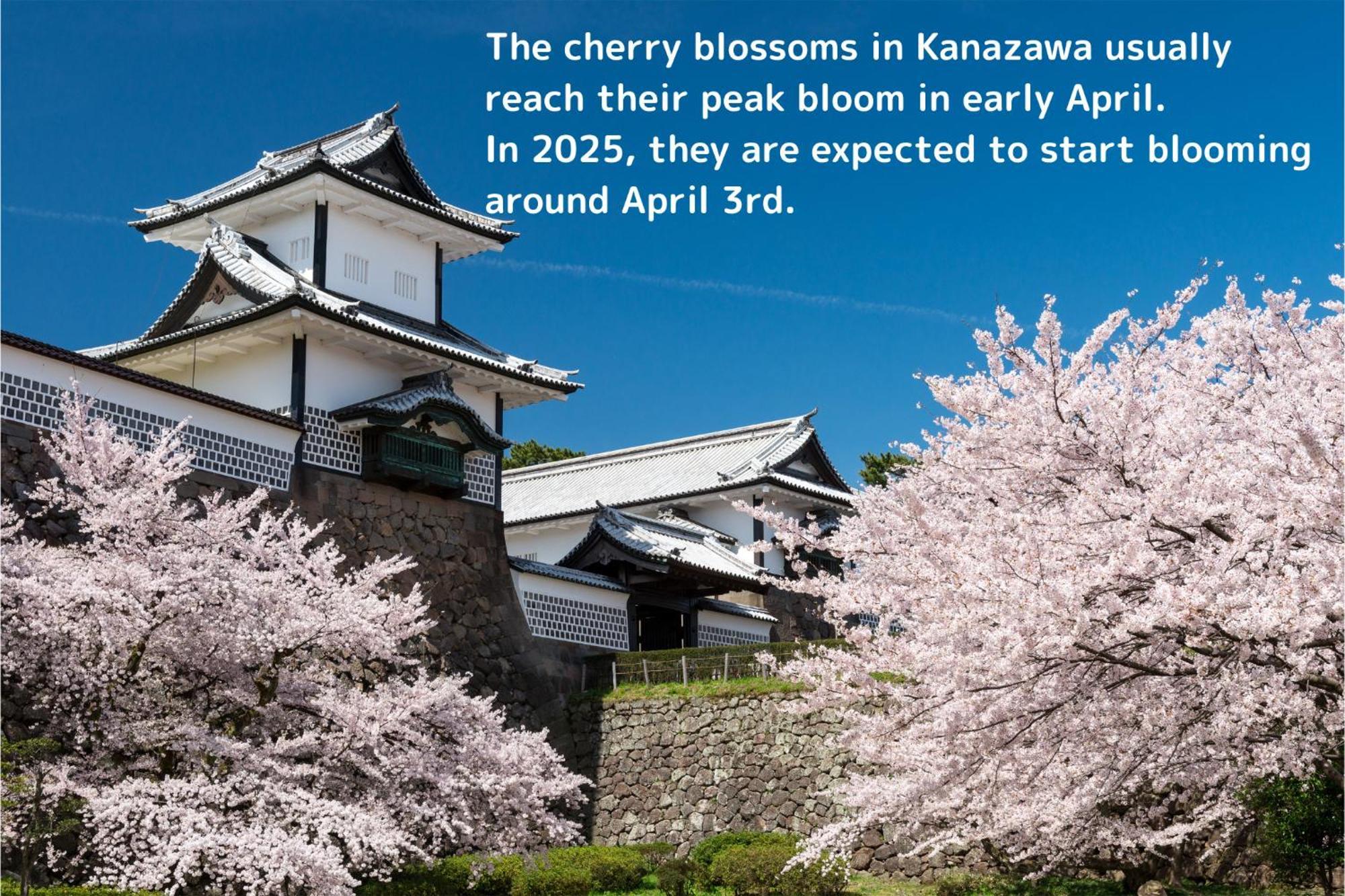 Tmark Kanazawa
